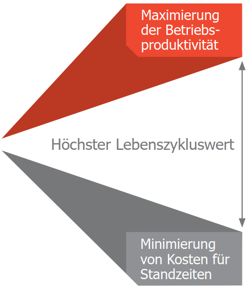 Hochster Lebenszykluswert