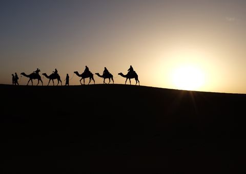 沙漠中的骆驼商队