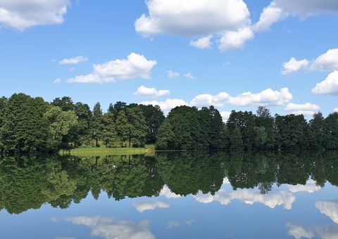 芬兰的风景，蓝天，有倒影的湖和古树